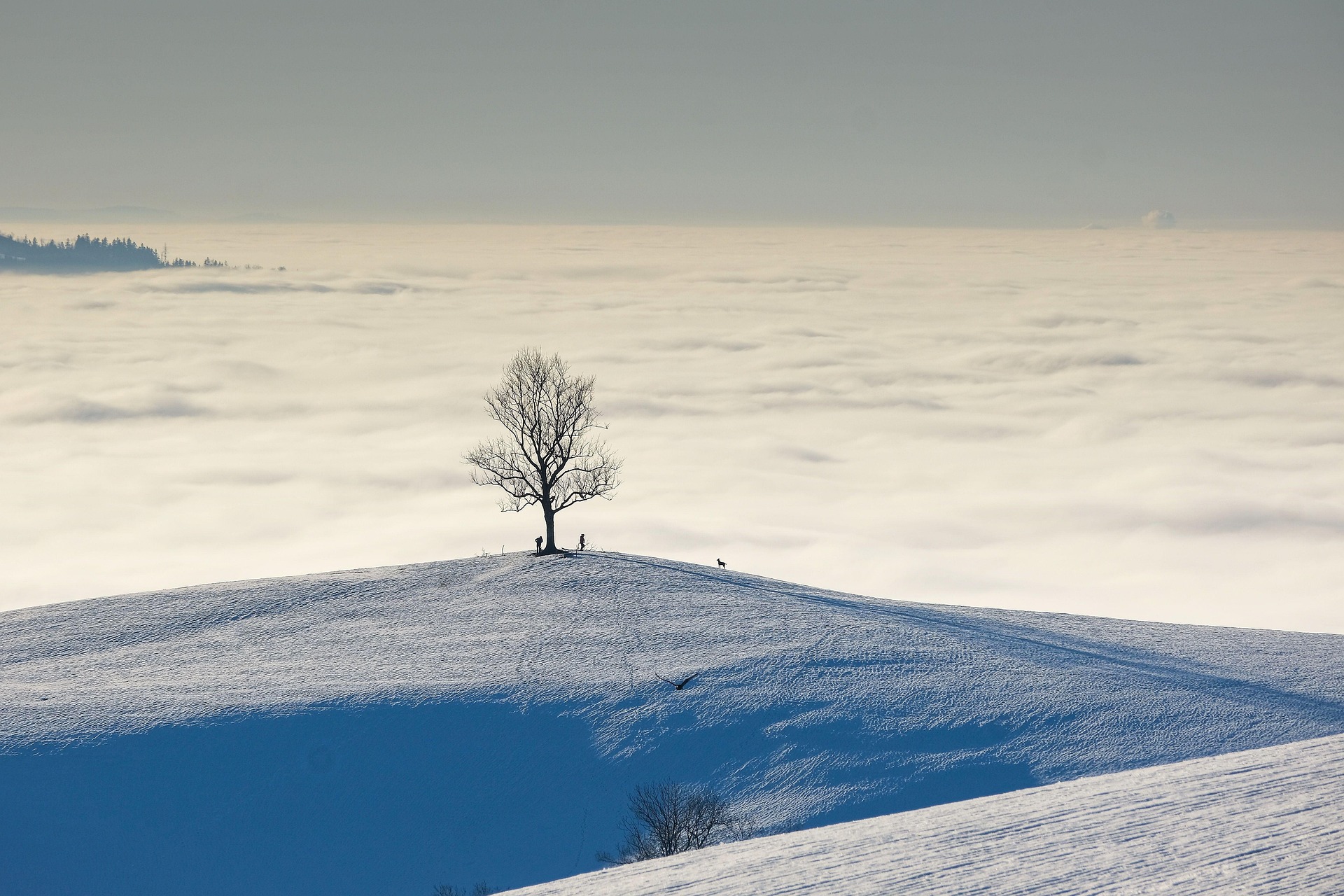 Snowy mountain valley at dawn