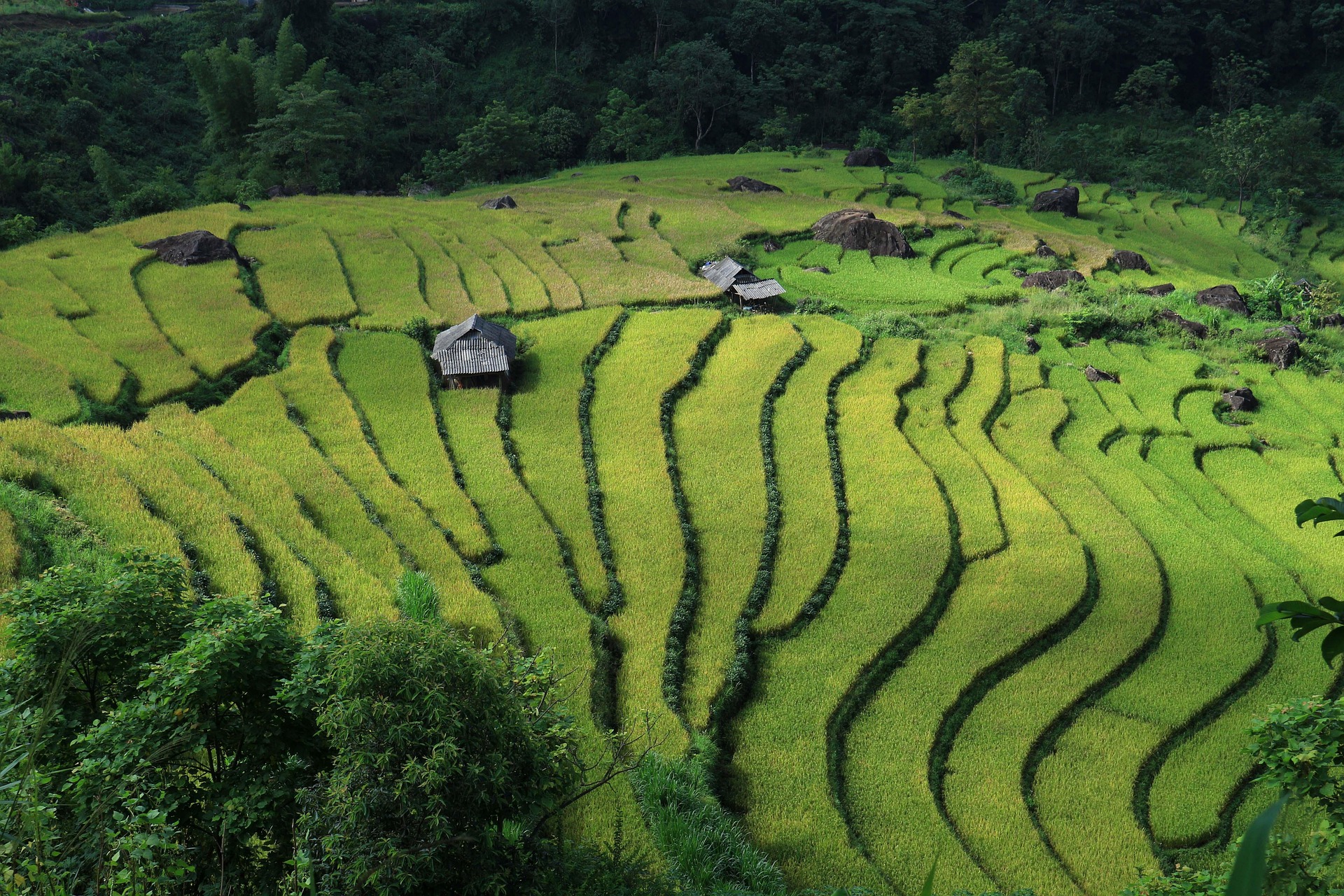 Sunlit hills and countryside